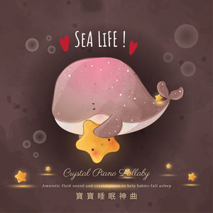 久操视频在线播放
