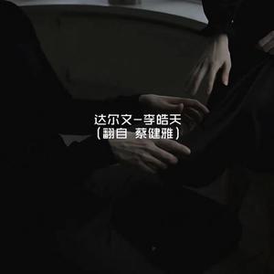 久操视频在线播放
